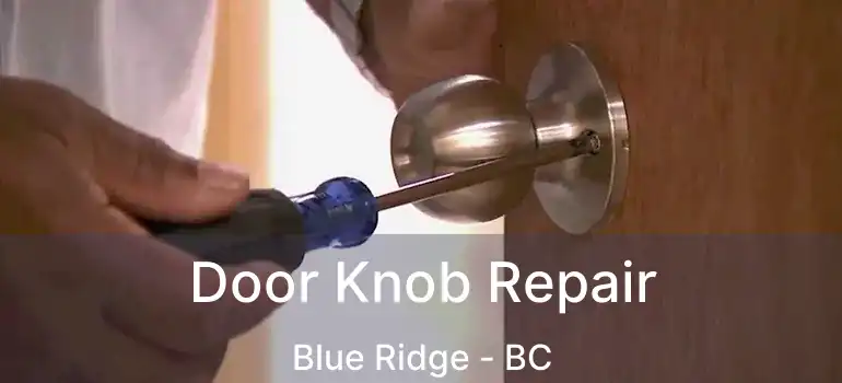 Door Knob Repair Blue Ridge - BC