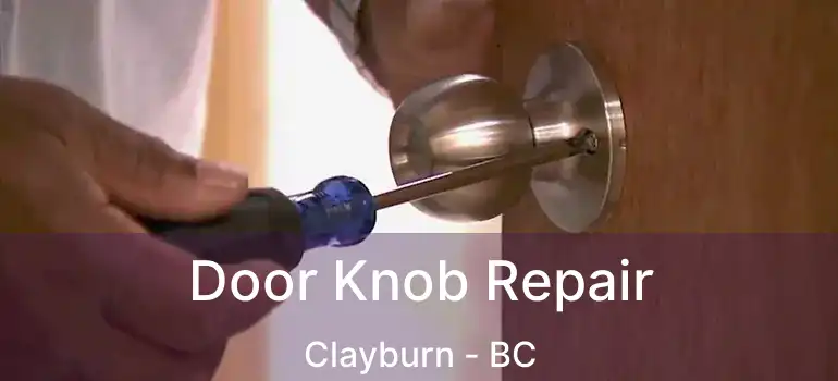  Door Knob Repair Clayburn - BC
