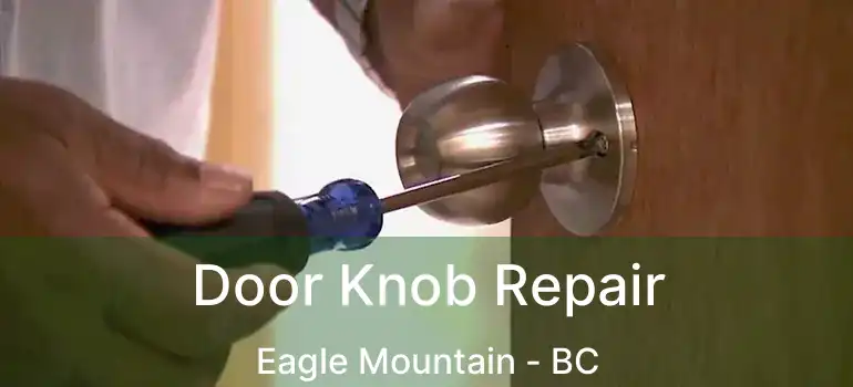  Door Knob Repair Eagle Mountain - BC