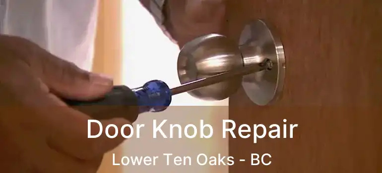  Door Knob Repair Lower Ten Oaks - BC