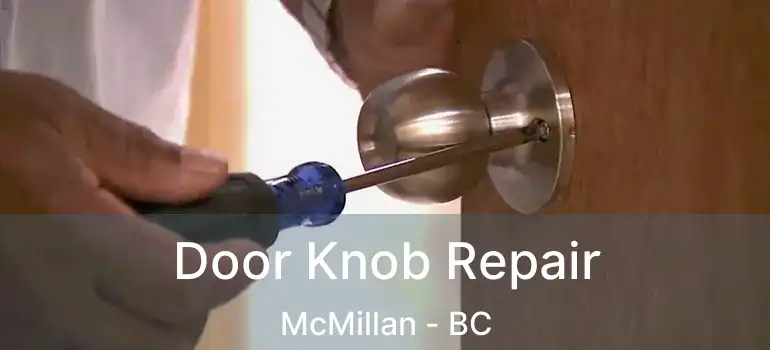  Door Knob Repair McMillan - BC