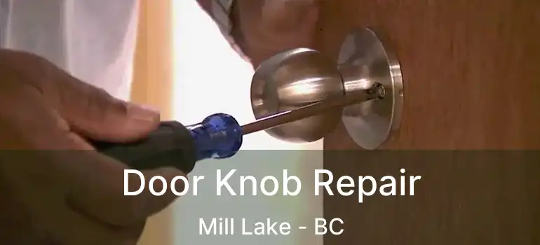  Door Knob Repair Mill Lake - BC