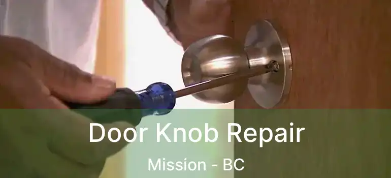  Door Knob Repair Mission - BC