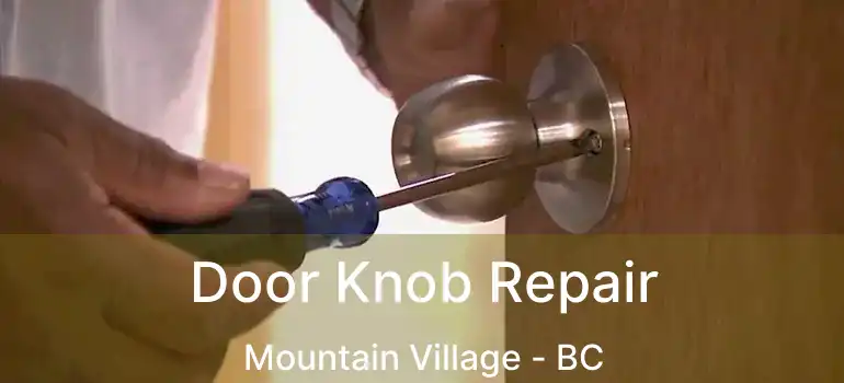  Door Knob Repair Mountain Village - BC