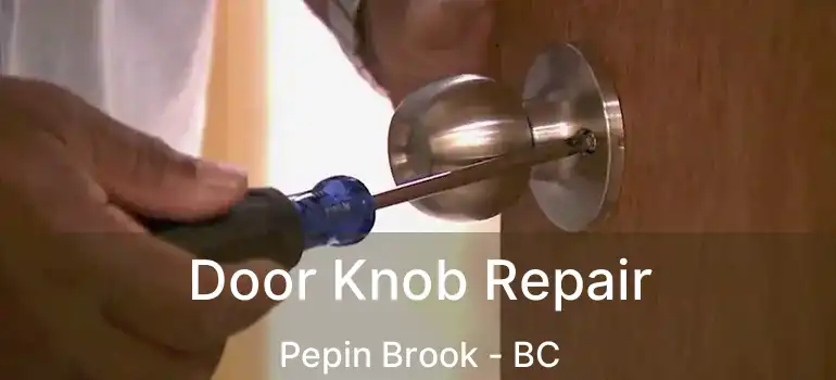  Door Knob Repair Pepin Brook - BC