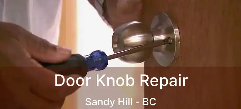  Door Knob Repair Sandy Hill - BC