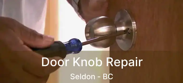  Door Knob Repair Seldon - BC