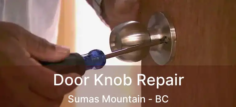  Door Knob Repair Sumas Mountain - BC