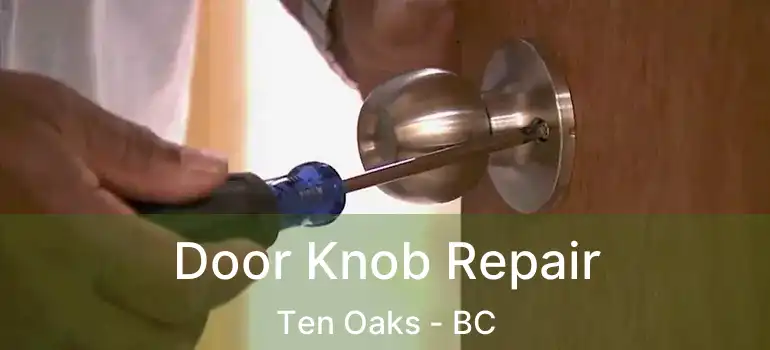  Door Knob Repair Ten Oaks - BC