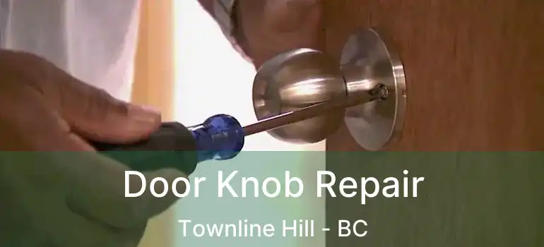  Door Knob Repair Townline Hill - BC