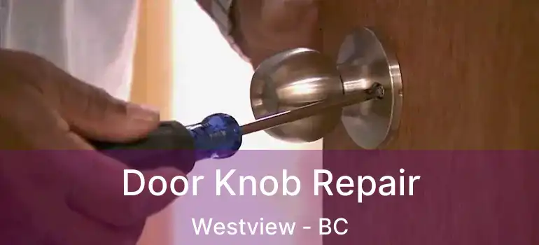  Door Knob Repair Westview - BC