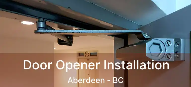  Door Opener Installation Aberdeen - BC