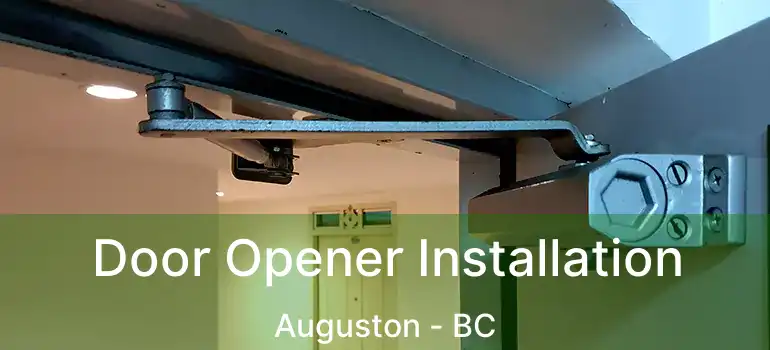  Door Opener Installation Auguston - BC