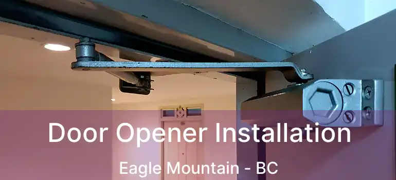  Door Opener Installation Eagle Mountain - BC