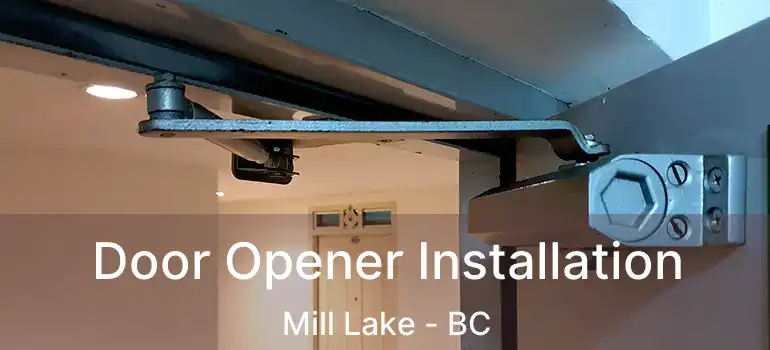 Door Opener Installation Mill Lake - BC