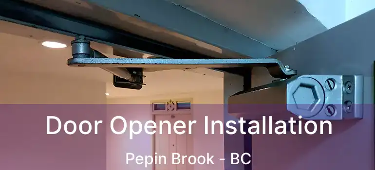  Door Opener Installation Pepin Brook - BC