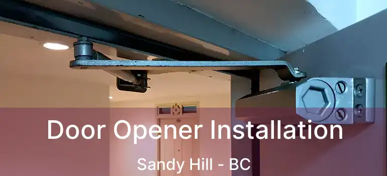  Door Opener Installation Sandy Hill - BC