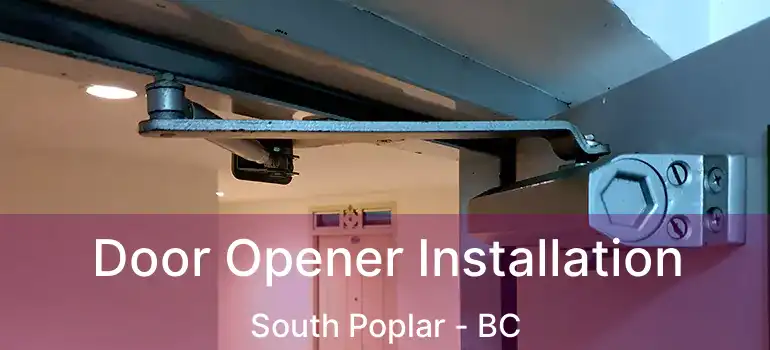  Door Opener Installation South Poplar - BC