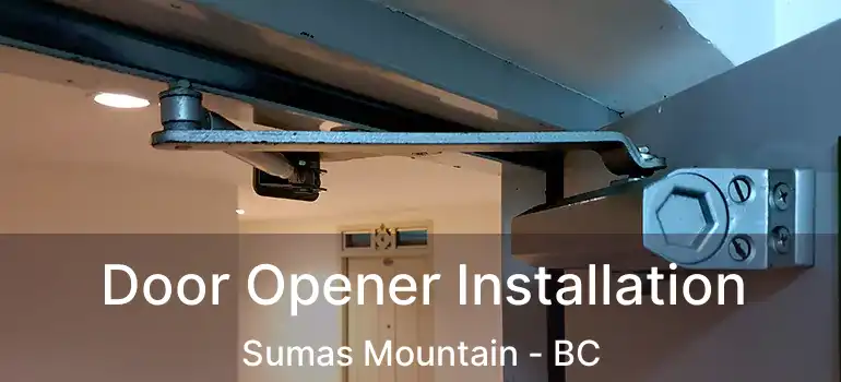  Door Opener Installation Sumas Mountain - BC