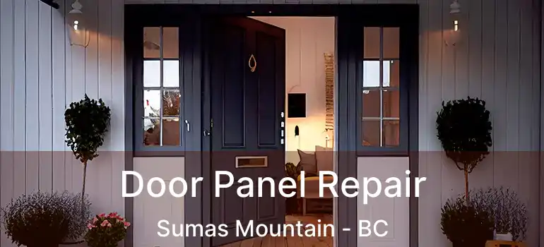  Door Panel Repair Sumas Mountain - BC