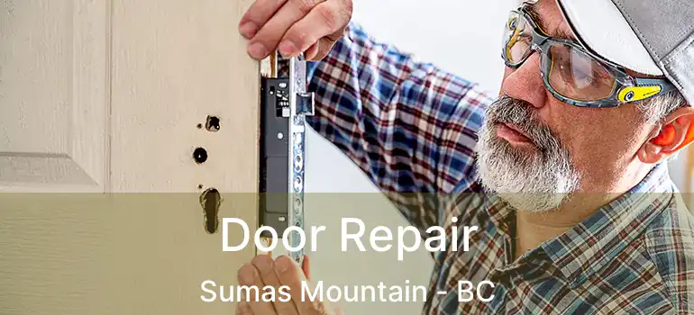  Door Repair Sumas Mountain - BC