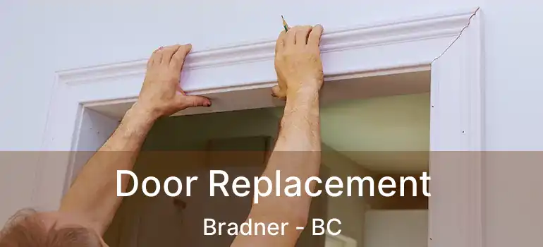  Door Replacement Bradner - BC