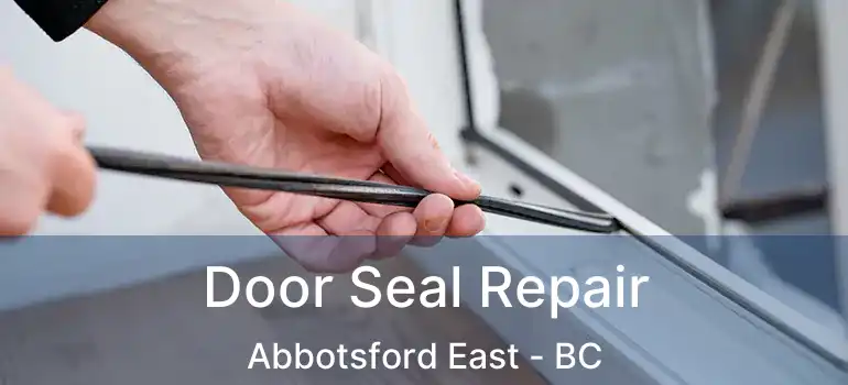  Door Seal Repair Abbotsford East - BC
