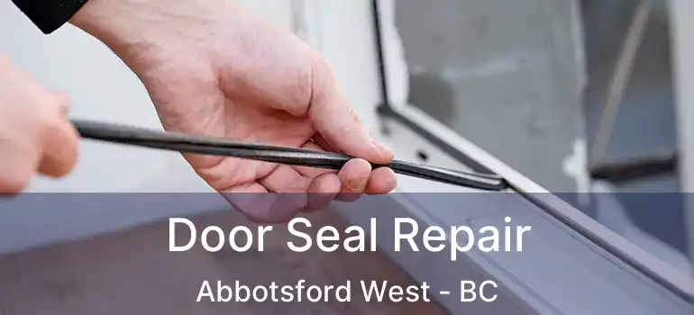  Door Seal Repair Abbotsford West - BC