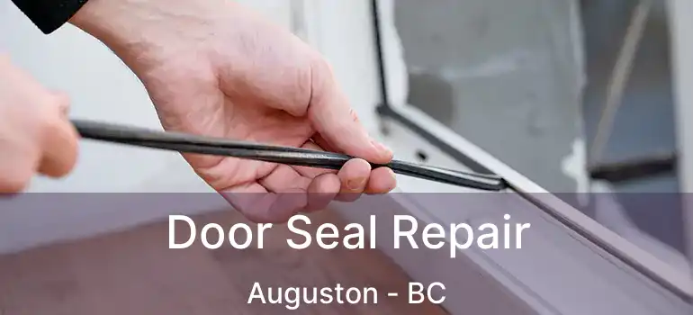  Door Seal Repair Auguston - BC
