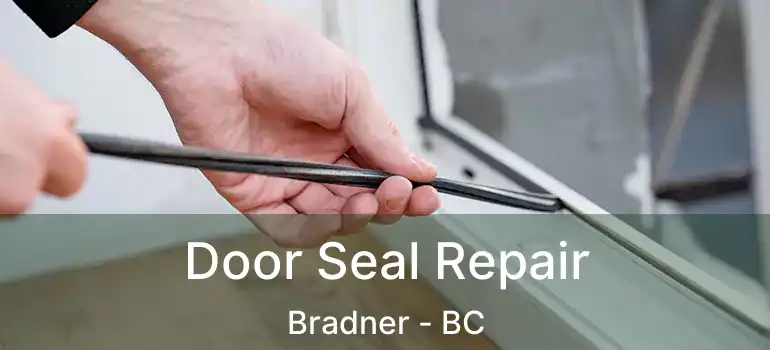  Door Seal Repair Bradner - BC