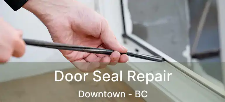  Door Seal Repair Downtown - BC