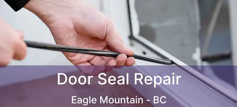  Door Seal Repair Eagle Mountain - BC