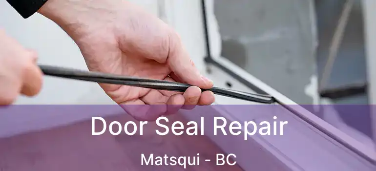  Door Seal Repair Matsqui - BC