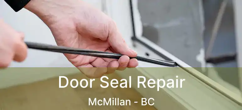  Door Seal Repair McMillan - BC