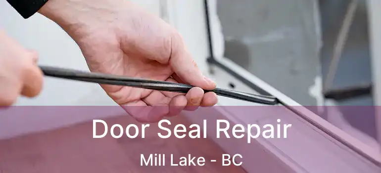  Door Seal Repair Mill Lake - BC