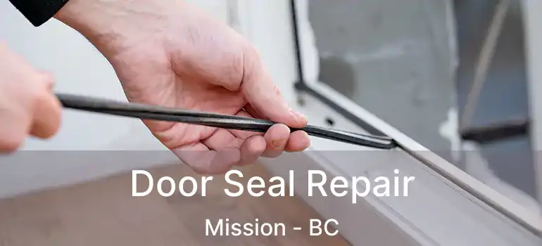  Door Seal Repair Mission - BC