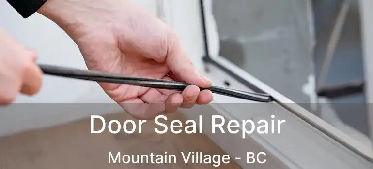  Door Seal Repair Mountain Village - BC