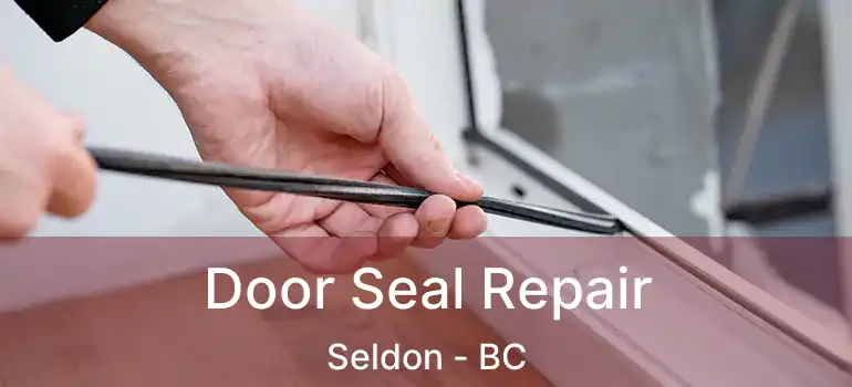  Door Seal Repair Seldon - BC