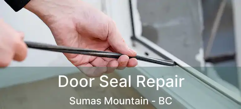  Door Seal Repair Sumas Mountain - BC