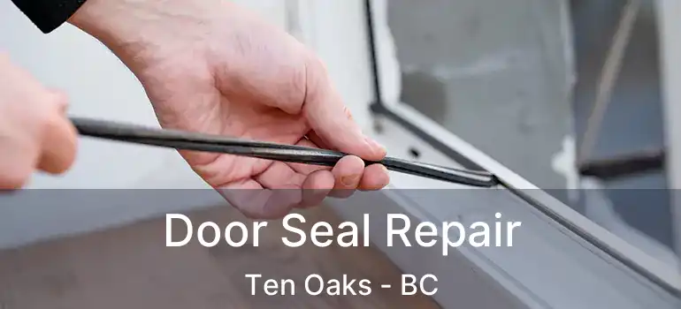 Door Seal Repair Ten Oaks - BC