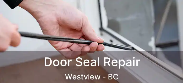  Door Seal Repair Westview - BC