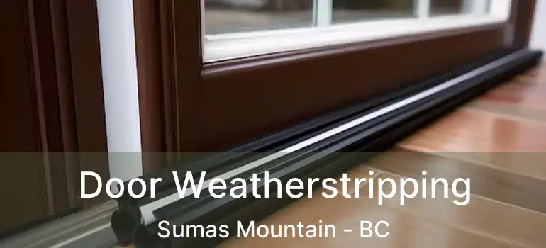  Door Weatherstripping Sumas Mountain - BC