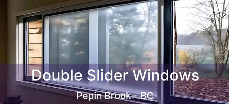  Double Slider Windows Pepin Brook - BC