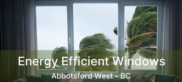  Energy Efficient Windows Abbotsford West - BC