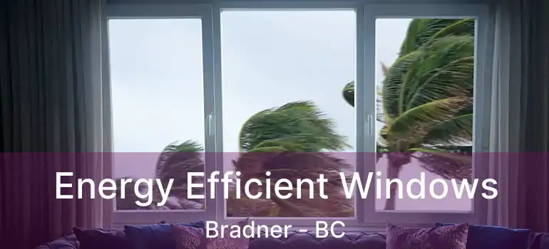  Energy Efficient Windows Bradner - BC