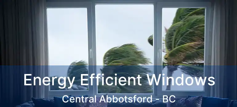  Energy Efficient Windows Central Abbotsford - BC