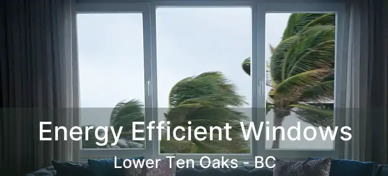  Energy Efficient Windows Lower Ten Oaks - BC