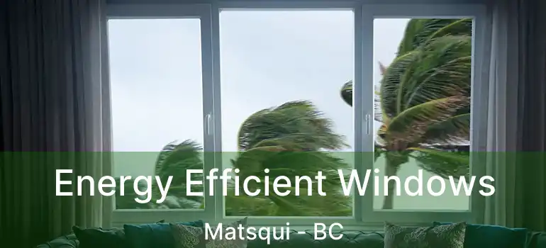  Energy Efficient Windows Matsqui - BC