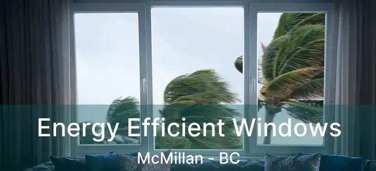  Energy Efficient Windows McMillan - BC
