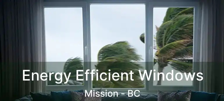  Energy Efficient Windows Mission - BC